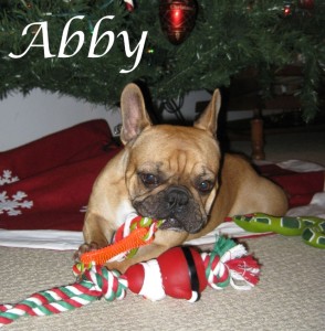 abby-review