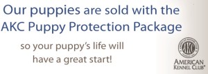 akc-puppy-protection