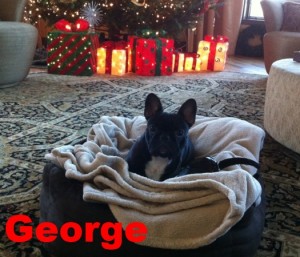 george-review