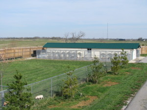 kennel2