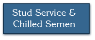 stud-service